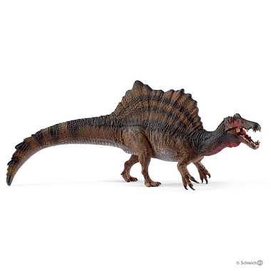 ｽﾋﾟﾉｻｳﾙｽ(ﾌﾞﾗｳﾝ)