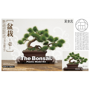 BON-01 1/12 ｻﾞ･盆栽 ﾌﾟﾗｽﾁｯｸﾓﾃﾞﾙｷｯﾄ 壱