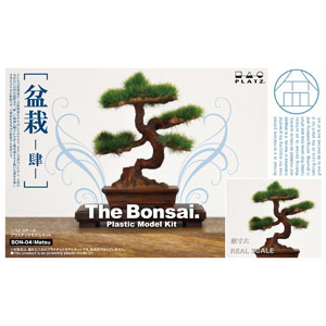 BON-04 1/12 ｻﾞ･盆栽 ﾌﾟﾗｽﾁｯｸﾓﾃﾞﾙｷｯﾄ 肆