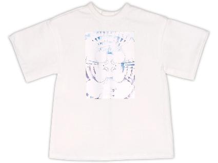 AZO2 ﾋﾞｯｸﾞｼﾙｴｯﾄTｼｬﾂ~Photo art~ ﾎﾜｲﾄ×ﾙﾐﾅｽ