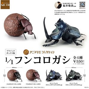 (※4)1/1 ﾌﾝｺﾛｶﾞｼ