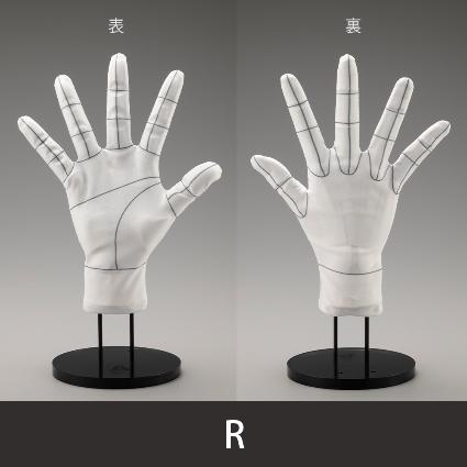 AT017 ARTIST SUPPORT ITEM ﾊﾝﾄﾞﾓﾃﾞﾙ専用手袋/R -Wireframe-