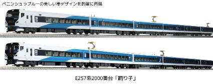 10-1613 E257系2000番台｢踊り子｣9両ｾｯﾄ