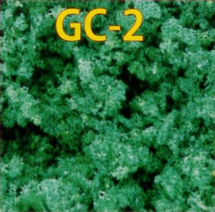 GC-2 NEWｸﾞﾗﾝﾄﾞｶﾊﾞ- 夏の緑