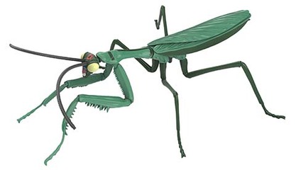 自由研究ｼﾘｰｽﾞ No.233 ﾔｯﾀｰﾏﾝ編 ｵｵｶﾏｷﾘ ﾎﾞﾔｯｷｰver.